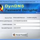 DynDNS Password Decryptor screenshot