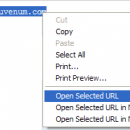 IE Open Selected URL screenshot
