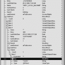 ASP windows registry editor screenshot