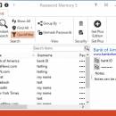 Password Memory 2010 screenshot