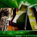 Droplet Templates of 3D Page Flip Book screenshot