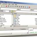 Win FTP Client Professional screenshot