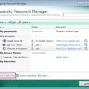 Kaspersky Password Manager screenshot