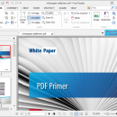 Portable Foxit Reader screenshot