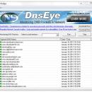 DnsEye screenshot