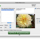 Tbw - windows watermark sotware screenshot