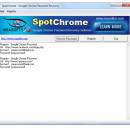SpotChrome Password Recovery screenshot