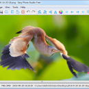 Easy Photo Studio FREE for Windows screenshot