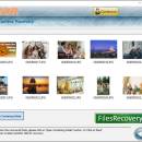Recover Digital Camera Pictures screenshot