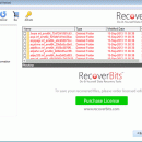 Deleted File Recovery screenshot