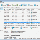 NetStat Agent screenshot