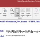 Access USPS Barcode Generator screenshot