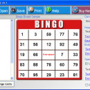 The Bingo Maker screenshot