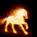 Fire Horse Animated Wallpaper screenshot