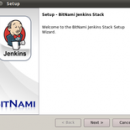 BitNami Jenkins Stack screenshot