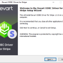 Devart ODBC Driver for Stripe screenshot