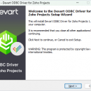 Zoho Projects ODBC Driver by Devart screenshot