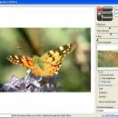 Image Repainter screenshot