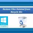 Restore Files Deleted from Recycle Bin screenshot