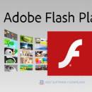 Adobe Flash Player 7 for Pocket PC screenshot