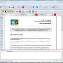 A-PDF Flash Word screenshot