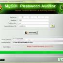 Mysql Password Auditor screenshot