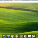 SSuite NetSurfer Extreme x64 screenshot