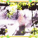 Anand Krishna Meditating at waterfall screenshot