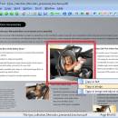 PDF Snipping Tool screenshot