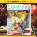 Firework Flash Magazine Templates screenshot