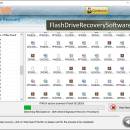 Flash Drive Recovery Software screenshot