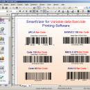 SmartVizor Variable Barcode Batch Printing Software screenshot