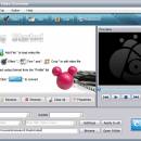 Aiseesoft iRiver Video Converter screenshot