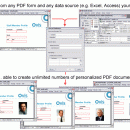 pdf-FieldMerge screenshot