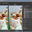 Helicon Focus screenshot