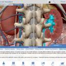 Human Anatomy Atlas for Mac OS X screenshot