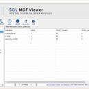 MDF Viewer tool screenshot