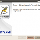BitNami Tomcat Stack screenshot