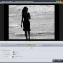 4Media Video Splitter screenshot