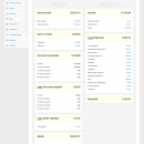 Manager Accounting Software screenshot