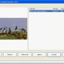 Flash to MP4 Converter screenshot