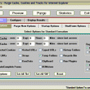 PurgeIE Pro screenshot