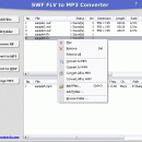 SWF FLV to MP3 Converter screenshot