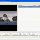 Flash to Video Converter screenshot