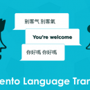 Language Translator For Magento 1 screenshot