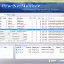 Process Network Monitor screenshot