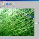 CamShot Monitoring Software screenshot