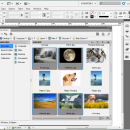 Adobe InDesign CS5 screenshot