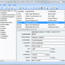 DTM Data Editor screenshot