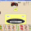 SKAT Card Game From Special K Software screenshot